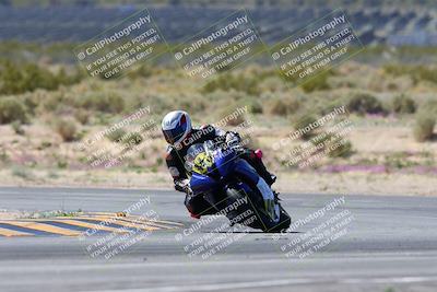 media/Apr-07-2024-CVMA (Sun) [[53b4d90ad0]]/Race 3 Amateur Supersport Middleweight/